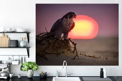 Produktbild von MuchoWow® - Selbstklebend - Fototapeten