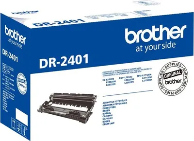 Produktbild von Brother DR-2401, Original, Brother, DCP-L2512D, DCP-L2532DW, DCP-L2552DN, HL-L2312D, HL-L2352DW, HL-L2372DN, MFC-L2712DN, MFC-L2712DW,..., 1 Stück(e), 12000 Seiten, Laserdrucken