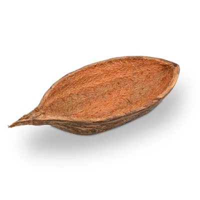 Produktbild von Baobab-Frucht, halbiert, Länge ca. 30-38 cm, Breite ca. 12cm | Adansonia digitata
