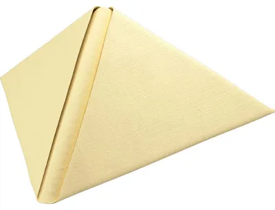 Produktbild von Dunilin Servietten Klassik cream unbedruckt 48x48 cm 1er Packung