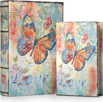 Image de Moritz Lot de 2 faux coffres-forts Décoration Papillon coloré Love Livre Safe Box Coffre-fort Pochette à livres Cache-argent