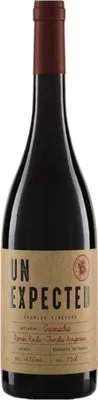 Produktbild von Garnacha Unexpected - Tinto 2019 Pago Ayles 14,2% Vol 750ml