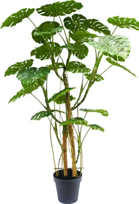 Produktbild von Kunstpflanze Monstera 240 cm