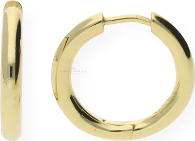 Produktbild von Creolen Silber 925 Gold plattiert JL10-06-0307 JuwelmaLux