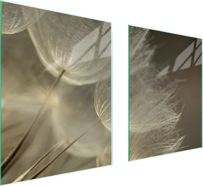 Obrázok produktu pre Sklenená Ochranná Tabuľa Pre Herd 85X52 Blume