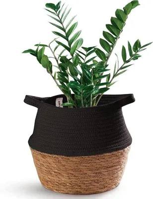 Image de Bacs à plantes décoratifs noirs de 27 cm avec poignées