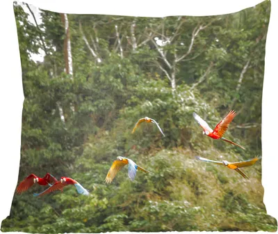 Produktbild von MuchoWow® Zierkissen Sofakissen Wohnzimmer Dekokissen 60x60 cm Papageien - Fliegen - Wald - Sitzfläche - Foto Polster