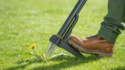 Immagine prodotto di Estirpatore rimuovi erbacce FISKARS