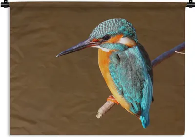 Produktbild von MuchoWow® Wandteppich Wandbehang Eisvogel - Äste - Bunt 120x90 cm Tapisserie Dekoration Wandtuch - Wohnen - Aufhänger für die Wand