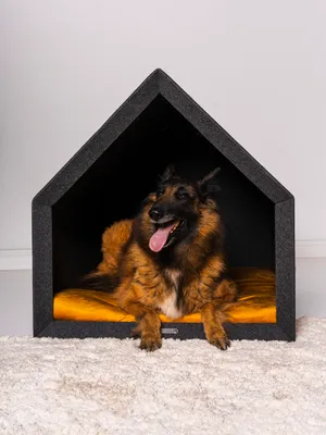 Produktbild von Rexproduct - PetHome 2.0 Hundehütte mit Liegefläche und Dach Biss- und Kratzfest Gute Schalldämmung Umweltfreundlich Größe L Dunkelgrau und gelb
