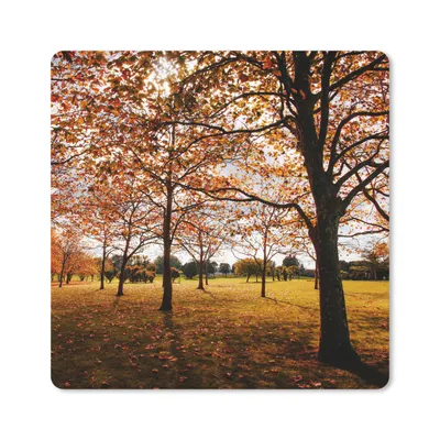 Produktbild von MuchoWow® Mauspad Mousepad Herbst - Herbstblätter - Natur 20x20 cm - Mousepads - Maus Mat - Pad - Mausunterlage - Desk Mat - Bureauartikeln
