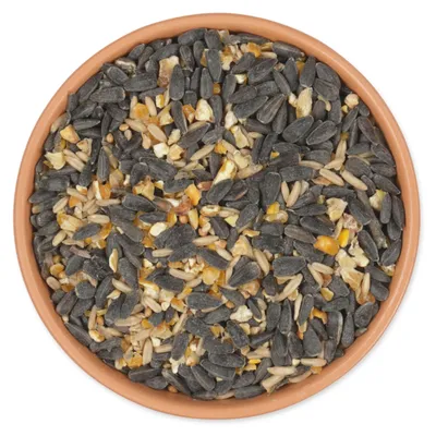 Produktbild von CJ Wildlife Streufutter für Wildvögel 2,5kg - Eiweißreich - mit biologisch angebauten Sonnenblumenkernen - Für Futtersäulen & Futtertische