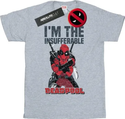 Obrázek produktu pro Marvel - Pánské tričko "I'm The Insufferable" BI22950 (L) (Grey)