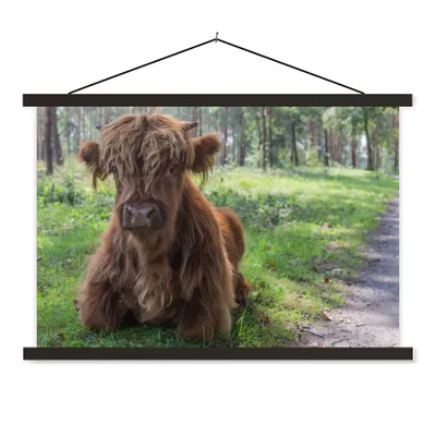 Produktbild von MuchoWow® Textilposter Schottischer Highlander - Kröte - Tiere 150x100 cm mit schwarzem Rahmen - Schlafzimmer