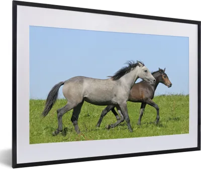 Produktbild von MuchoWow® Gerahmtes Poster Pferde - Tiere - Gras 60x40 cm - Poster mit Schwarzem Bilderrahmen Wandposter Rahmen Foto Bilder - Schlafzimmer - Plakat in Rahmen - Drucken