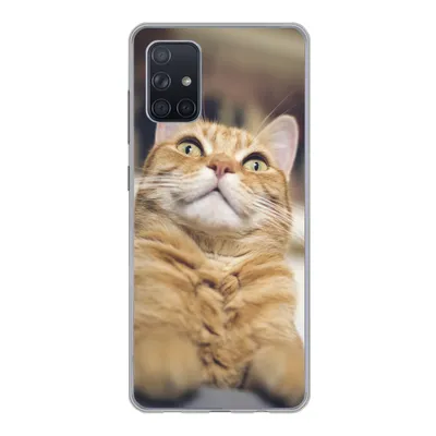 Produktbild von MuchoWow® Handyhülle Schutzhülle Hülle für Samsung Galaxy A51 5G Katze - Bank - Orange Silikon Softcase Handy Hülle - Abbildung