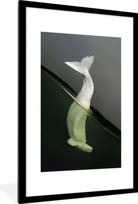 Produktbild von MuchoWow® MuchoWow® Gerahmtes Poster Delfin - Wasser - Weiß 60x90 cm - Poster mit zchwarzem Bilderrahmen - Dekoration - Wandposter Wohnzimmer - Hochwertig
