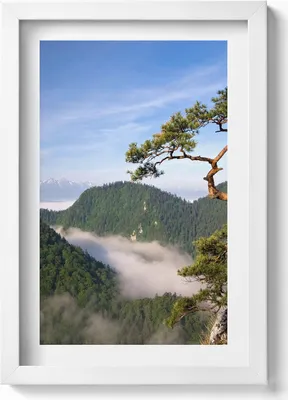 Produktbild von Sokolica-Gipfel im Pieniny-Gebirge– Wandbild mit Rahmen – Gerahmtes Bild  – Wanddekoration – 20x30 cm – Weiß