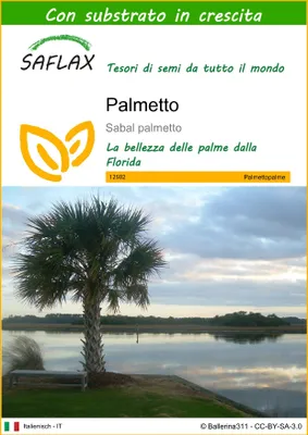 Immagine prodotto di SAFLAX - Palmetto - 8 semi - Con substrato - Sabal