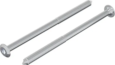 Obrázek produktu pro vidaXL Šroub 2 ks Stříbrný M6 x 100 mm Ocel