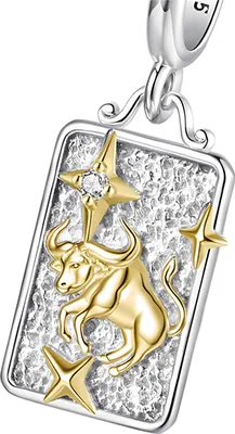 Image de Charms Pandora, signe astrologique Taureau, argent 925, Trusky Charms