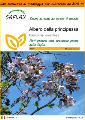 Immagine prodotto di SAFLAX Garden in the bag - Albero della principessa - 200 semi - Paulownia