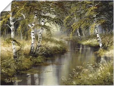 Produktbild von ARTland Poster Kanal tief im Wald Größe: 80x60 cm