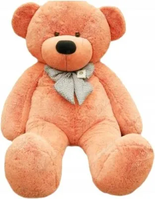 A large, plush teddy bear sitting upright.