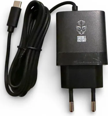 Immagine prodotto di Skull Factory CARICATORE 30 W SWITCH 2