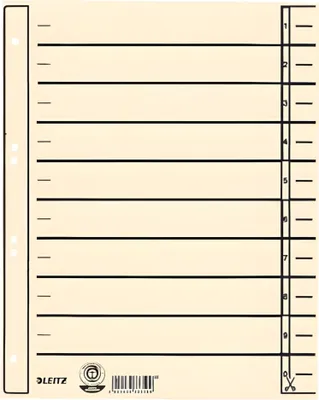 Obrázok produktu pre Leitz 1657-00-11 1657 Trennblätter - Lochung hinterklebt, Überbreite, A4, chamois, 100 Stück