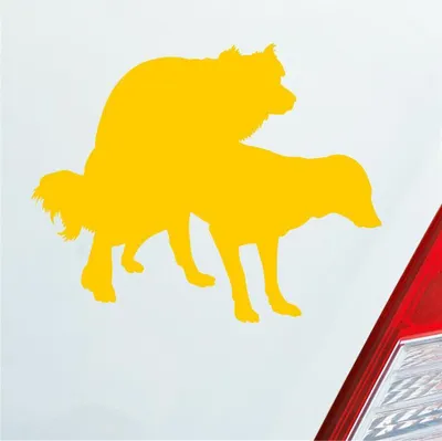 Produktbild von Auto Aufkleber Hunde decken Spaß Liebe Paaren Dog 12,5x10 cm Gelb Sticker Heckscheibenaufkleber