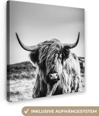 Obrázek produktu pro OneMillionCanvasses® - Obrazy na plátně - Kráva - Skotský horal - Černá - Bílá - Zvíře - Příroda - Volně žijící zvířata, nástěnné umění, nástěnné dekorace Obývací pokoj, 50x50cm