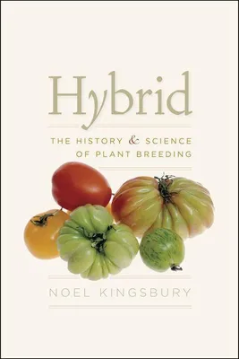 Produktbild von Hybrid