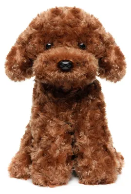 Obrázek produktu pro Elzusha - Měkká plyšová hračka, pudl - 32 cm - Štěně labradoodle