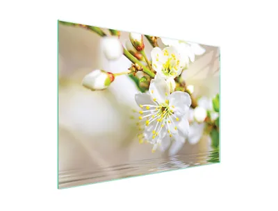 Produktbild von Glasschutzplatte Für Herd 70X52 Pflaume
