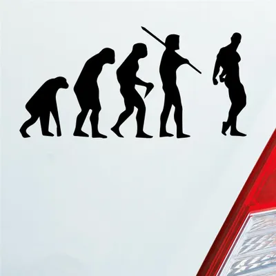 Produktbild von Auto Aufkleber Evolution Fitness Sport Bodybuilding 15x7,5 cm Schwarz Matt Sticker Heckscheibenaufkleber
