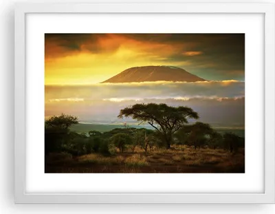 Produktbild von Gerahmtes Poster - Weißer Rahmen - Safari Tierwelt Berg Kenia - 40x30 cm - Wand Bild - Wanddeko - Wandbilder - Wandposter - Bilderrahmen - Bilder - Kunstdruck - Wandbild - P2WAA40x30-3170