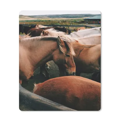 Produktbild von MuchoWow® Mauspad Mousepad Pferde - Tiere - Spiel 19x23 cm - Mousepads - Maus Mat - Pad - Mausunterlage - Mauspads - Spielen