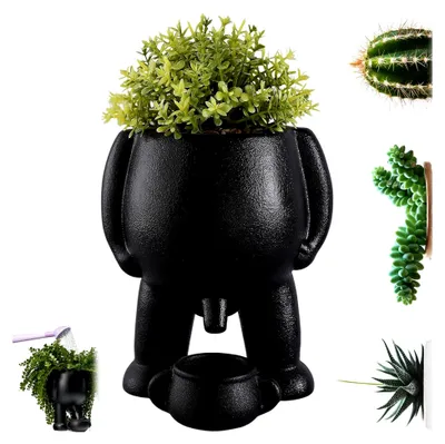 Produktbild von Lustige Vase, Piss-Topf, Pflanzgefäß, Sukkulenten-Übertopf, kleiner Pflanztopf für drinnen und draußen mit Ablaufloch (schwarz)