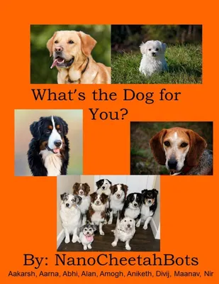 Produktbild von What's the Dog for You?