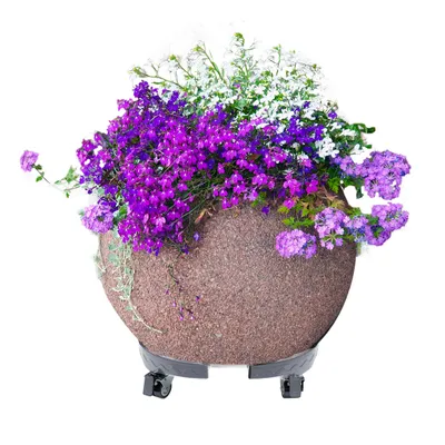Produktbild von YZNAHRE Pflanzenroller Rund 39-52cm Einstellbar Rollbrett Pflanzen outdoor Tragkraft 300 kg Blumenroller Pflanzroller mit 360 ° Drehbare Rädern Pflanzentopf Blumentopf Untersetzer mit Rollen, Grau