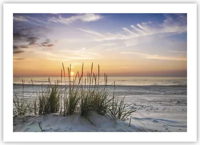 Produktbild von Poster - Poster ohne Rahmen - Westen Sonne Strand - 70x50 cm - Wand Bild - Wanddeko - Wandbilder - Kunstposter - Wandposter - Bilder - Kunstdruck - Wanddekoration - Wandbild - P2XAA70x50-4201