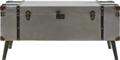 A silver trunk coffee table with brown trim and dark legs, shown from the front.