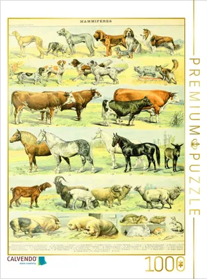 Produktbild von CALVENDO Puzzle Naturtafel mit Haustieren | 1000 Teile Lege-Größe 64x48cm Foto-Puzzle für glückliche Stunden