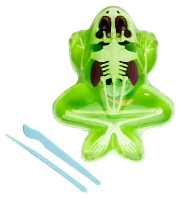 Imagen del producto de Scout Dissect-It Frog (o "Rana para disección de Scout")