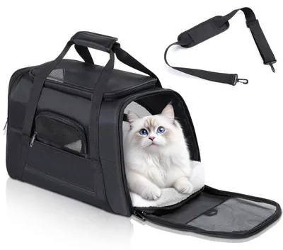 Faltbare Transportbox für Katzen und kleine Hunde, 44x28x25 cm, mit Schultergurt