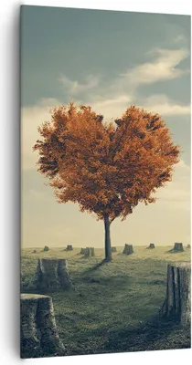 Produktbild von Bild auf Leinwand - Leinwandbild - Baum Natur Wiese - 65x120cm - Wand Bild - Wanddeko - Wandbilder - Leinwanddruck - Bilder - Kunstdruck - Wanddekoration - Leinwand bilder - Wandkunst - PA65x120-3751
