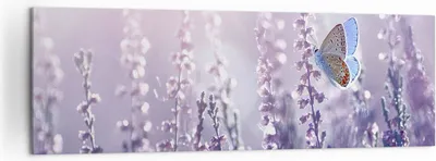 Produktbild von Bild auf Leinwand - Leinwandbild - Schmetterling Wiese Blume - 160x50cm - Wand Bild - Wanddeko - Leinwanddruck - Bilder - Kunstdruck - Wanddekoration - Leinwand bilder - Wandkunst - AB160x50-4014
