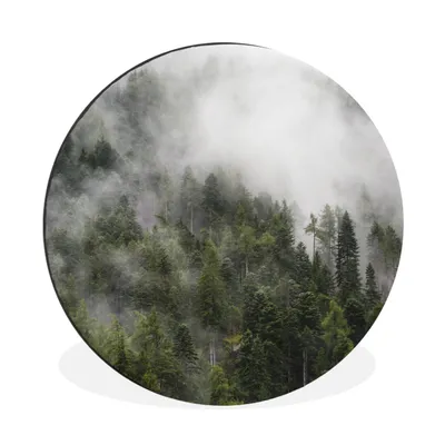 Produktbild von MuchoWow® Aluminium Wandkreis Wald - Nebel - Berg Ø 60 cm Wanddeko Modern Wohnzimmer - Wand Kreis - Wandbild - Schlafzimmer - Aluminium Bild - Kinderzimmer - Wohnzimmer Dekoration - Wandschmuck