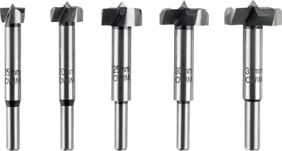 Produktbild von PARKSIDE® Bohrerset (Forstner-Holzbohrersatz 5-tlg.)